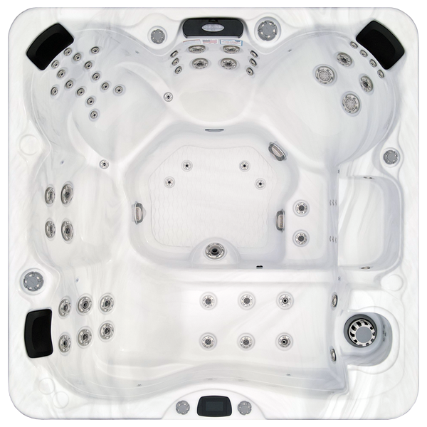 Avalon-X EC-867LX hot tubs for sale in Smyrna